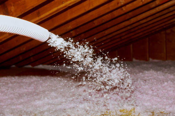 Types of Insulation We Offer in Sunnyside Tahoe City, CA